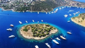 Read more about the article MUĞLA